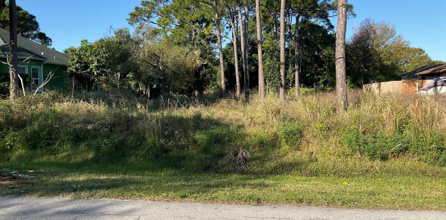 Terrain à Fort Pierce, Floride № 54939