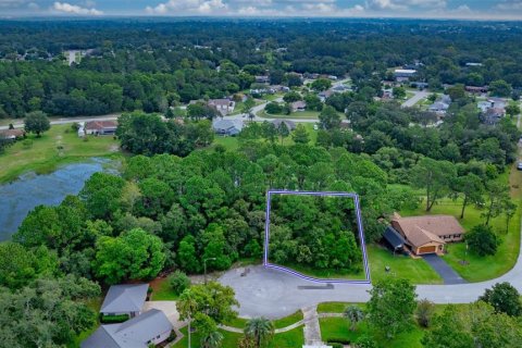 Land in Spring Hill, Florida № 1321844 - photo 5