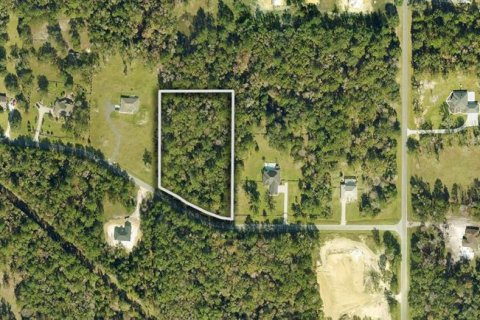 Land in Williston, Florida № 1321797 - photo 1