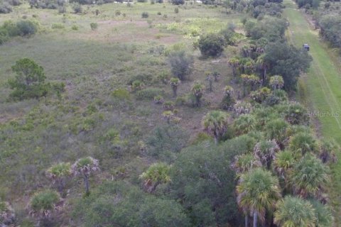 Land in Okeechobee, Florida № 1299526 - photo 2