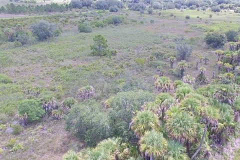 Land in Okeechobee, Florida № 1299526 - photo 3