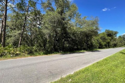 Terreno en venta en Dade City, Florida № 1392917 - foto 3