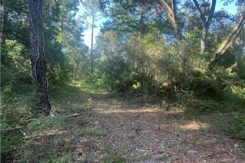 Terreno en venta en Dade City, Florida № 1392917 - foto 5