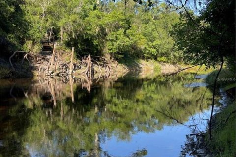 Terreno en venta en Dade City, Florida № 1392917 - foto 4