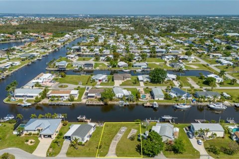 Terrain à vendre à Punta Gorda, Floride № 1081820 - photo 6