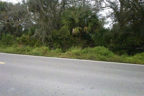 Купить земельный участок в Окичоби, Флорида № 941451 - фото 3