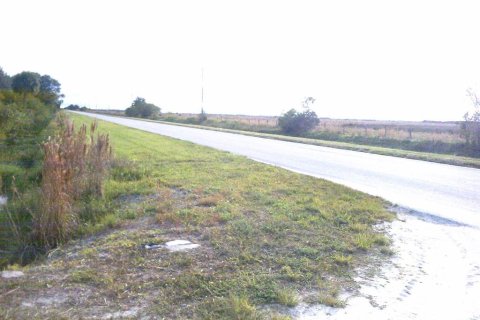 Terrain à vendre à Okeechobee, Floride № 941451 - photo 1