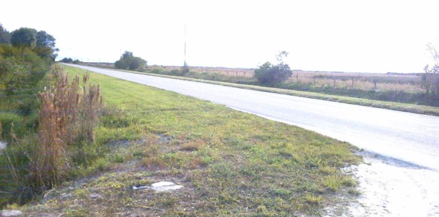 Terrain à Okeechobee, Floride № 941451