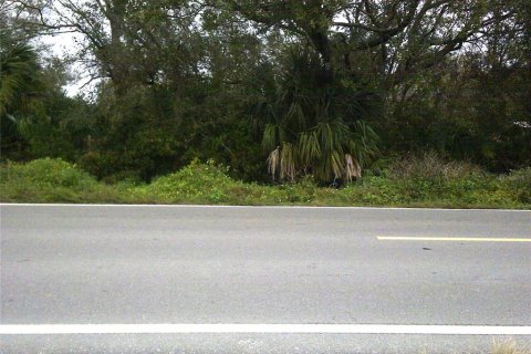 Terrain à vendre à Okeechobee, Floride № 941451 - photo 4