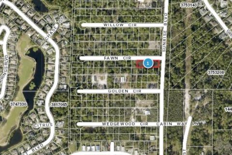 Terreno en venta en Mount Dora, Florida № 1315050 - foto 1