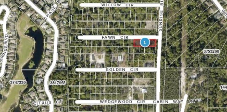 Terreno en Mount Dora, Florida № 1315050