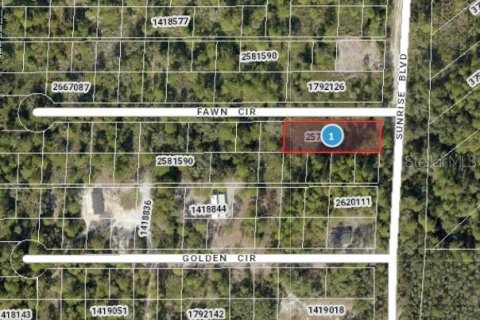 Terreno en venta en Mount Dora, Florida № 1315050 - foto 2