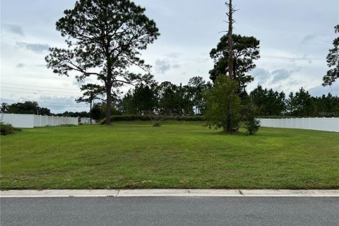 Terreno en venta en Ocala, Florida № 1382534 - foto 1