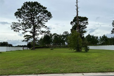 Terreno en venta en Ocala, Florida № 1382534 - foto 3