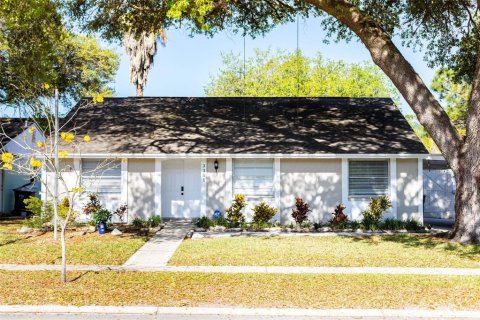 Villa ou maison à vendre à Tampa, Floride: 4 chambres, 131.92 m2 № 1385348 - photo 1