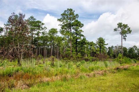 Terreno en venta en Frostproof, Florida № 1366138 - foto 2