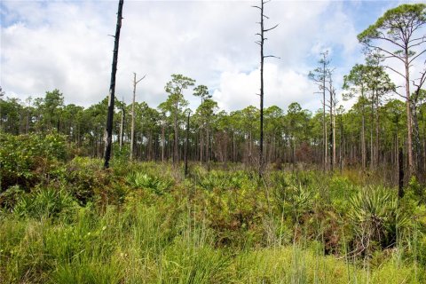 Terreno en venta en Frostproof, Florida № 1366138 - foto 1