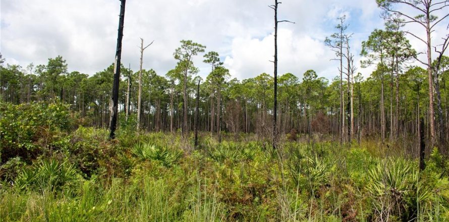 Terreno en Frostproof, Florida № 1366138