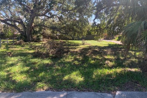 Terreno en venta en Sarasota, Florida № 1406407 - foto 4