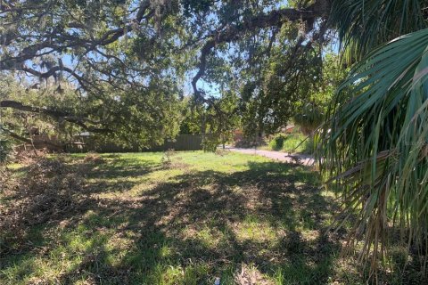 Terreno en venta en Sarasota, Florida № 1406407 - foto 1