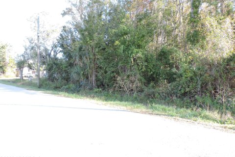 Terrain à vendre à Saint Augustine, Floride № 834571 - photo 6