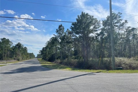 Terrain à vendre à Orlando, Floride № 215441 - photo 1