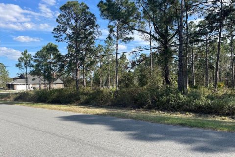 Terrain à vendre à Orlando, Floride № 215441 - photo 4