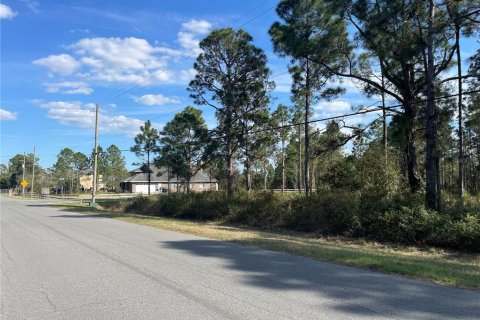 Terrain à vendre à Orlando, Floride № 215441 - photo 5