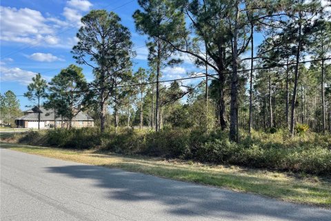 Terrain à vendre à Orlando, Floride № 215441 - photo 6