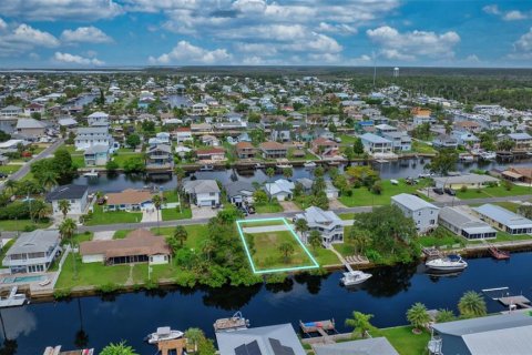 Land in Hernando Beach, Florida № 1363724 - photo 9