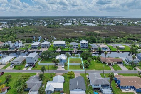 Land in Hernando Beach, Florida № 1363724 - photo 8