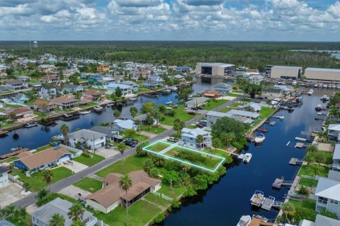 Land in Hernando Beach, Florida № 1363724 - photo 5