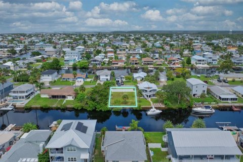 Land in Hernando Beach, Florida № 1363724 - photo 2