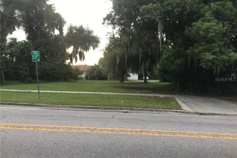 Land in Tavares, Florida № 213517 - photo 1