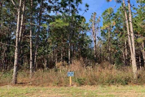 Купить земельный участок в Ньюбери, Флорида № 214075 - фото 3