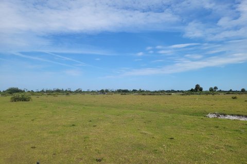 Купить земельный участок в Окичоби, Флорида № 1142505 - фото 7