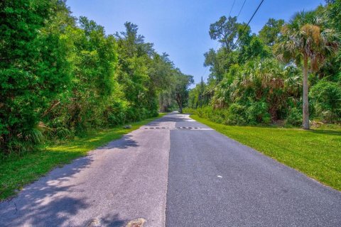 Купить земельный участок в Кристал-Ривер, Флорида № 597533 - фото 5