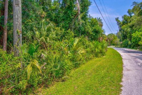 Купить земельный участок в Кристал-Ривер, Флорида № 597533 - фото 3