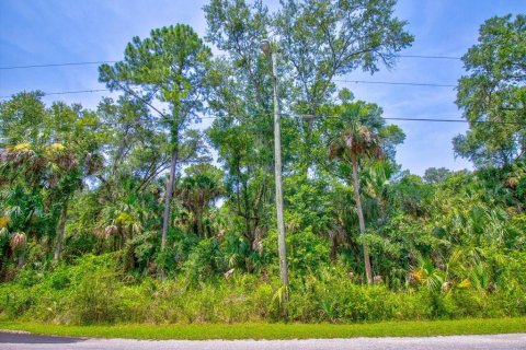 Купить земельный участок в Кристал-Ривер, Флорида № 597533 - фото 1