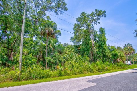 Купить земельный участок в Кристал-Ривер, Флорида № 597533 - фото 4