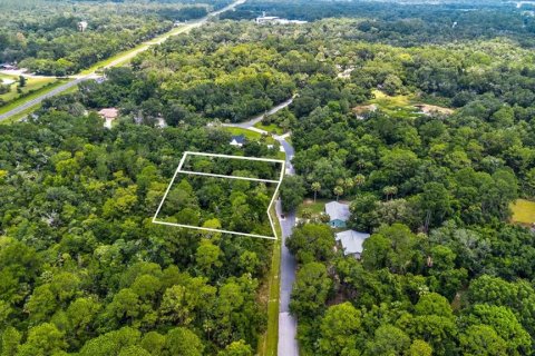 Terrain à vendre à Crystal River, Floride № 597533 - photo 10