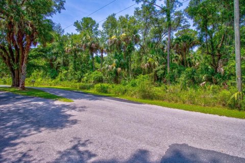 Terrain à vendre à Crystal River, Floride № 597533 - photo 2