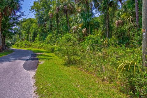 Terrain à vendre à Crystal River, Floride № 597533 - photo 6