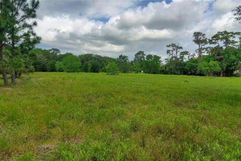 Land in DeLand, Florida № 1243395 - photo 1