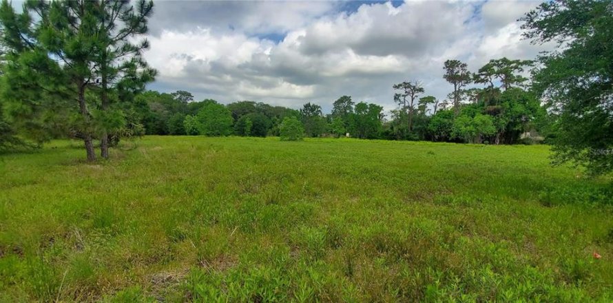 Land in DeLand, Florida № 1243395