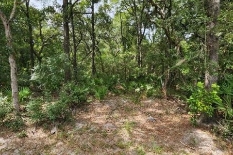 Terreno en venta en Chiefland, Florida № 1246206 - foto 3