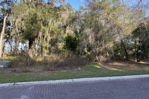 Terrain à vendre à Saint Augustine, Floride № 765487 - photo 2