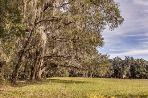 Terrain à vendre à Ocala, Floride № 1108365 - photo 4