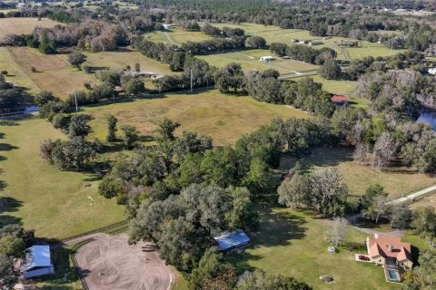 Land in Ocala, Florida № 1108365 - photo 9