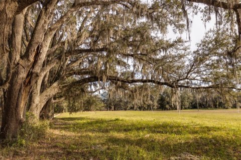 Land in Ocala, Florida № 1108365 - photo 1